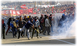 Pigs Attack Naples Demo