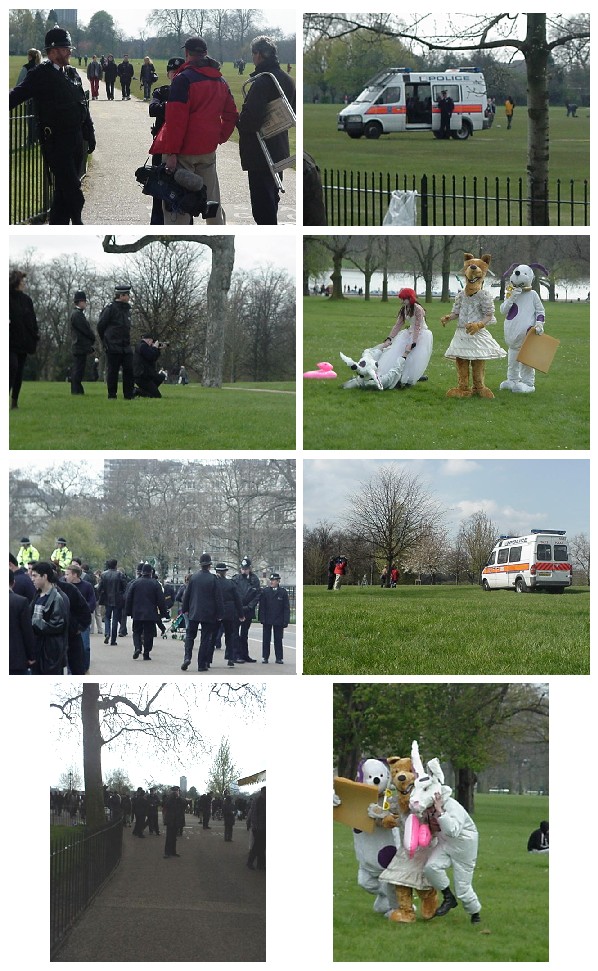 Mayday: Wombles public workshop - pics