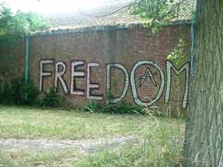 NoBorder Webcast Reports featured on PirateTV