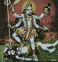 WTO Demands Sacrifice