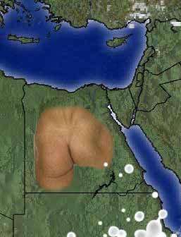 Passive Male Anuses Go On Trial In Egypt