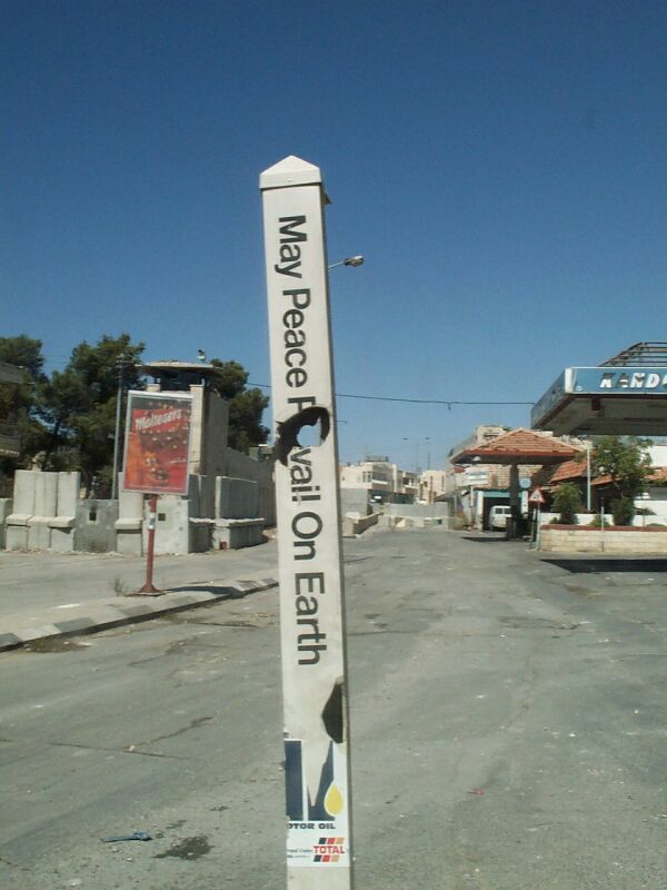 UK activists in Palestine