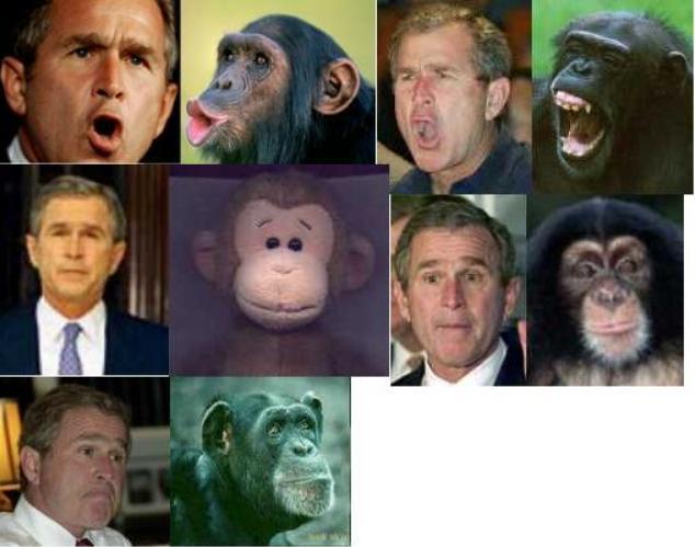 bush goes monkeys