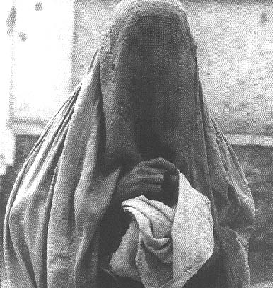 You only have half a brain....