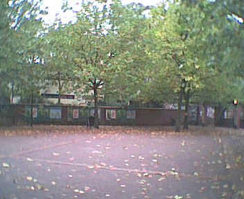 Swiss Cottage Residents Vigil-Photo's from the tree and ground