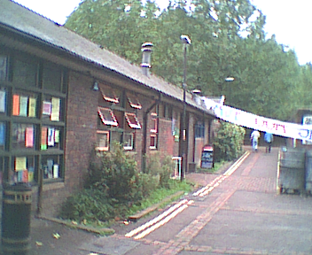 Swiss Cottage Residents Vigil-Photo's from the tree and ground