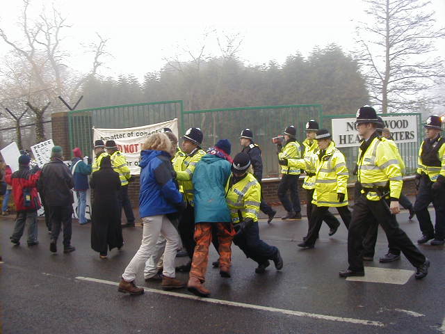 more photos from northwood