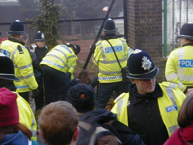 more photos from northwood