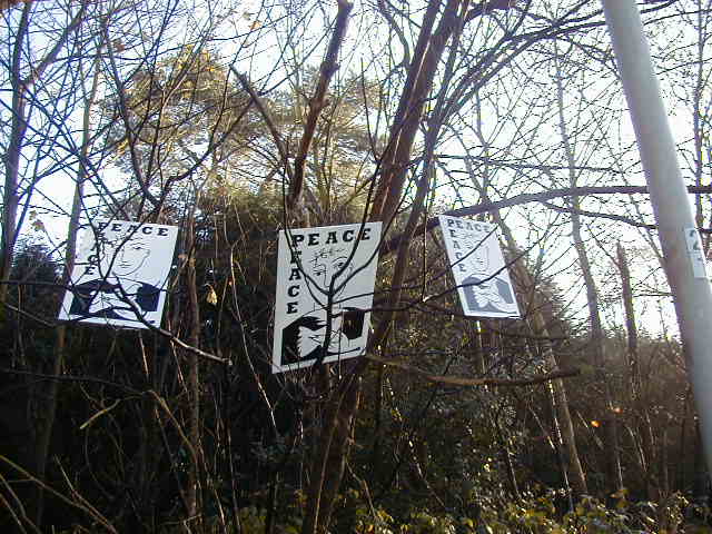 northwood- more photos