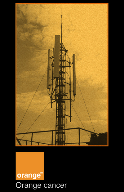 :: orange - cancer2 ::