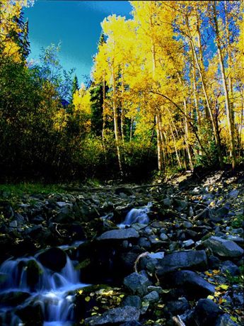 enviroMENTALly it Needs you!