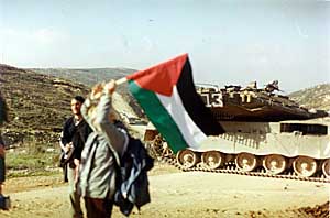 Diary of an occupation (pics)