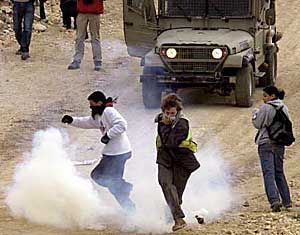 Diary of an occupation (pics)