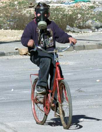 Want security? Give the Palestinians freedom