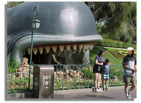 Finally! Greeting from Bin Laden to Bush (always bussy in Oil War arrangements)