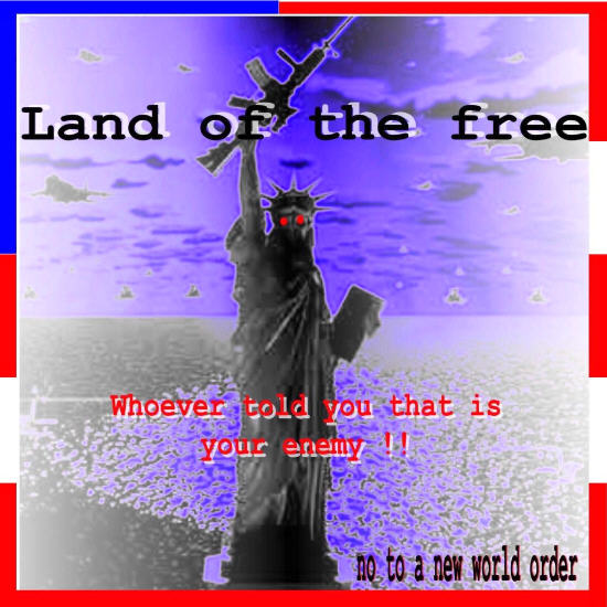 usa.land of the free ?