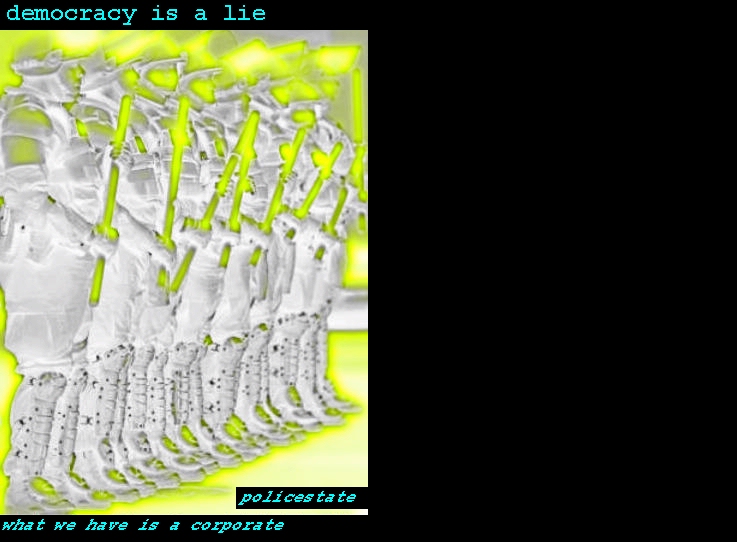 What we have is a corporate policestate