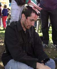 Report from Barcelona