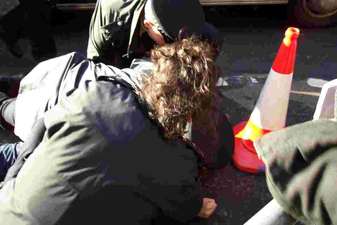 Police Brutality At London Palestine Demo