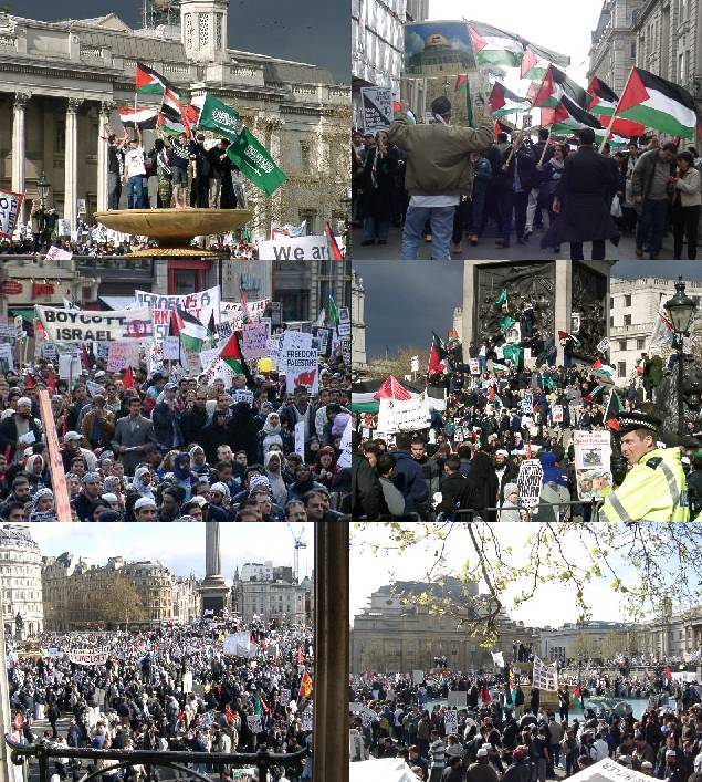 Trafalgar Square Full - pictures from palestine demo