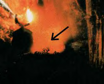 Elite rituals, child abuse and murder