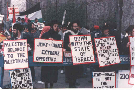 Jews Protest "Israeli" Crimes