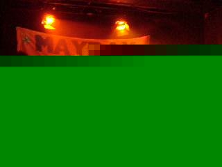 The Festival Has Begun!