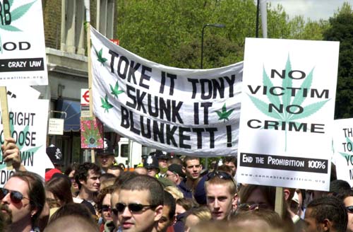 Biggest ever Cannibis march!