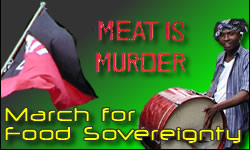 Rome against FAO and Multi