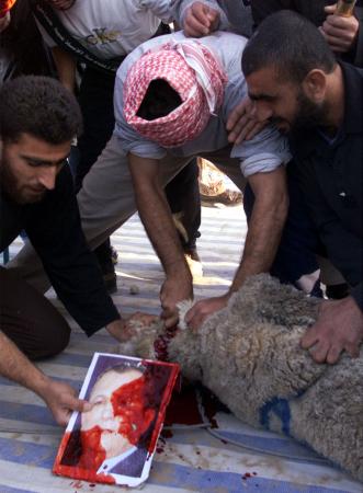 Palestinians hurt animals