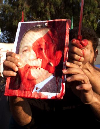 Palestinians hurt animals