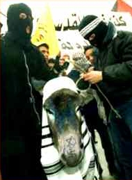 Palestinians hurt animals