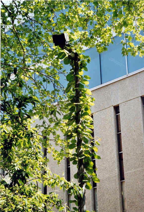 Ok that should be it