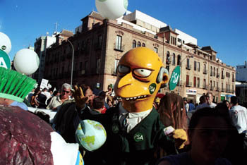 Pics from seville (saturday)