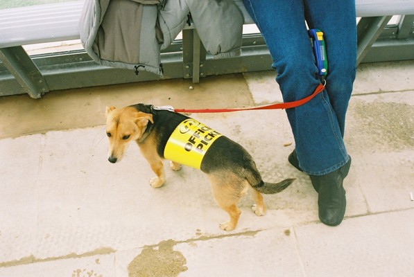 Pics. RMT strikers at Arriva in mass picket at Manchester