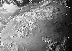 Rain report for the Sahara