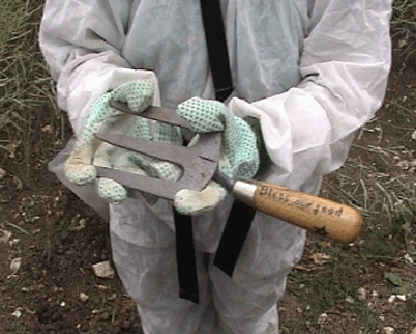 and more (photos gm protest hilton dorset)