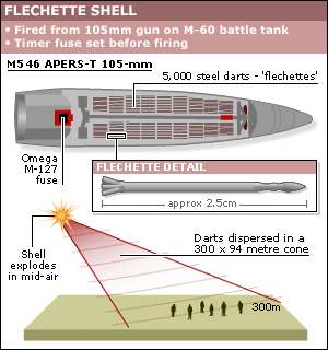 Dart bombs 'killed four Palestinians'