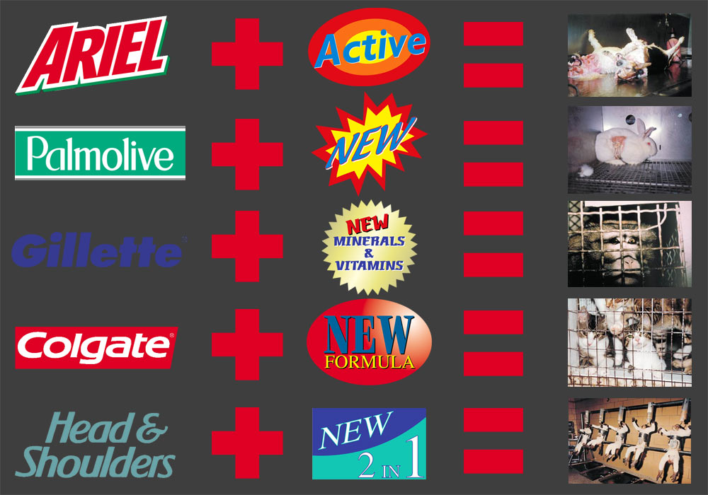 what drives the animal testing industry?