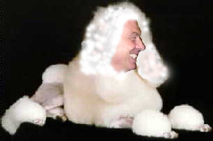 BLAIR THE LAP DANCING DOG