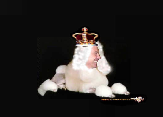 SELF ANOITED KING BLAIR