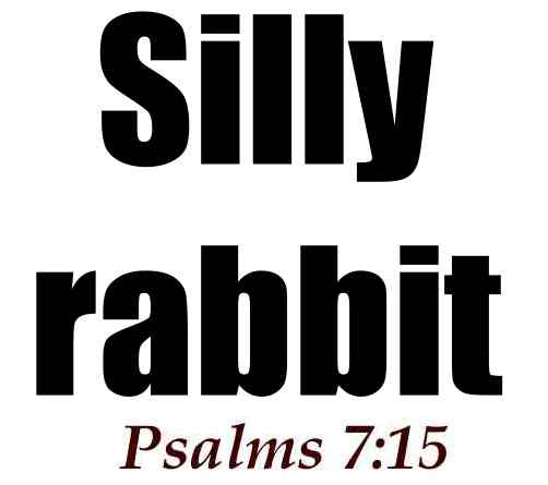 Are the Cherokees Allied with the Snipers?