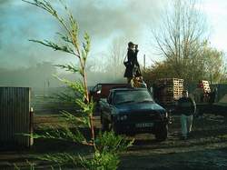 WOODSIDE TRAVELLERS' EVICTION