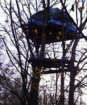 Bilston Wood- Anti Road Protest Camp near Edinburgh