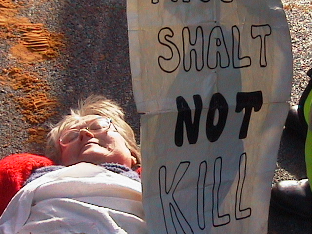 Warzone Whitehall Photos