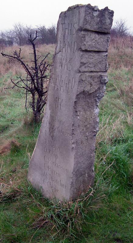 Twyford Down 10'th anniversary reunion