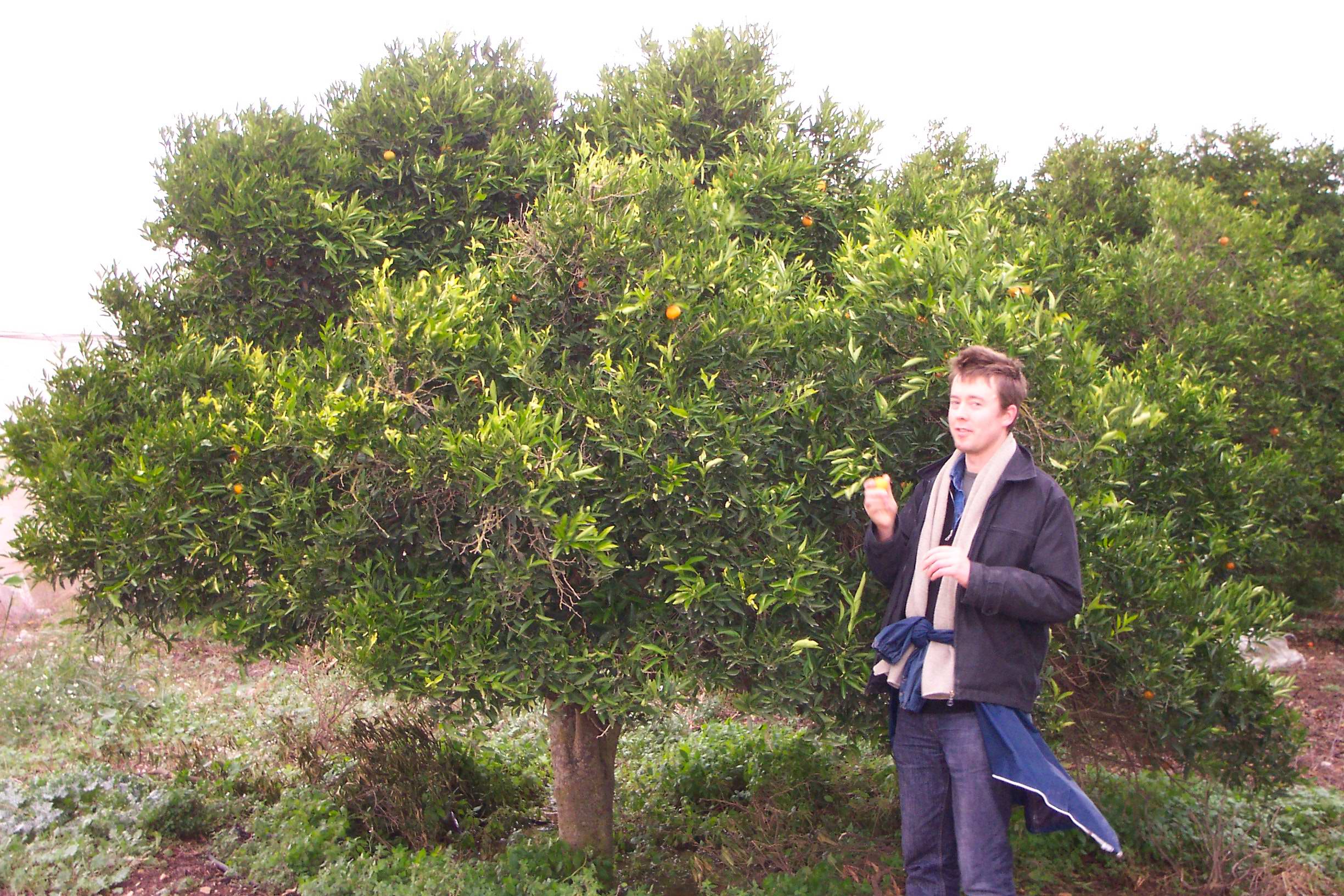 Tear Down the Wall (photo)