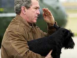 Wuffi sent an e-mail!