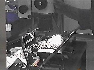 new ufo evidence uncovered by research museum