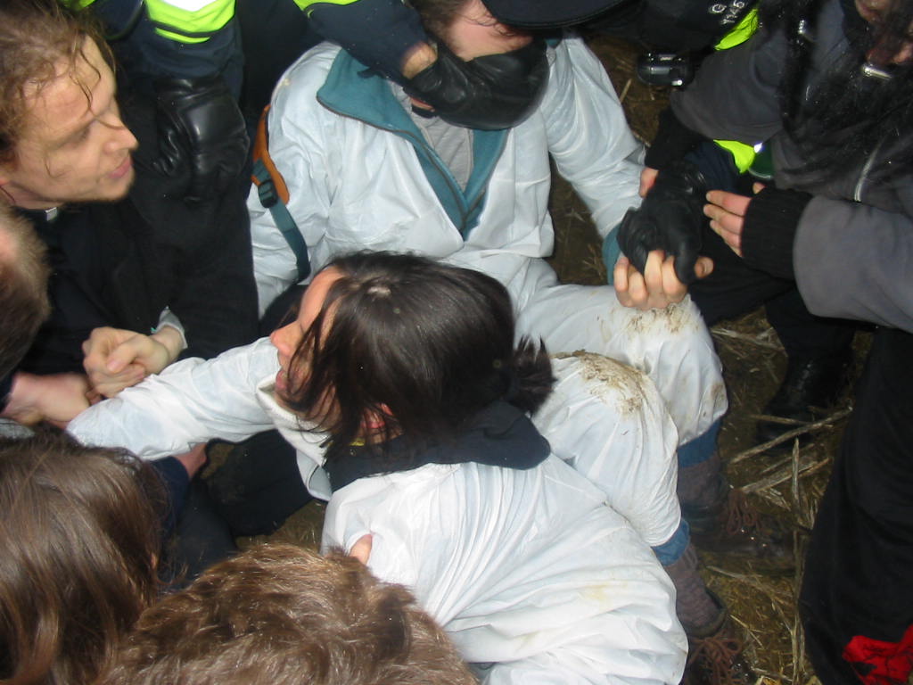 More Fairfield pictures